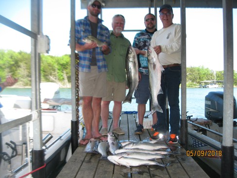 Nice Striped Bass